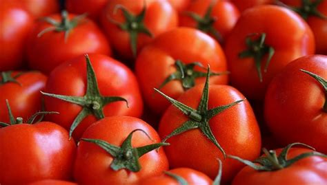 Fransa ve İspanya arasında domates tartışması - Son Dakika Haberleri